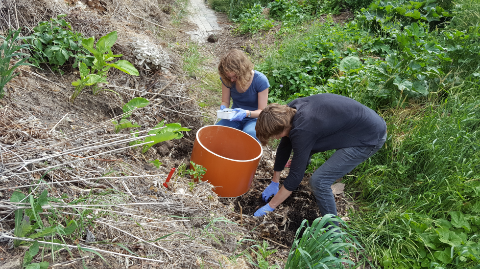 Image: 2017_05_28 Lukas & Jessica isopod experiment 4.png